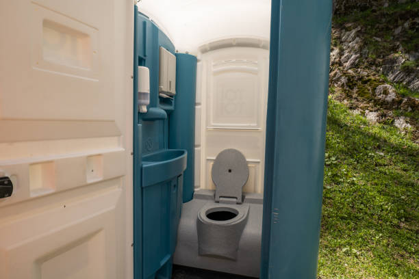 Best Sanitation services for porta potties  in Pho, IL
